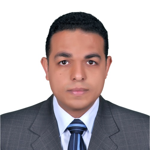 Mohamed Shaban Mohamed Hassaan